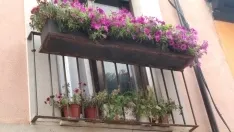 Foto 12 - Fotos: Soria busca los balcones y ventanas mejor decoradas del Casco Viejo y de San Pedro