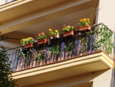 Foto 6 - Fotos: Soria busca los balcones y ventanas mejor decoradas del Casco Viejo y de San Pedro