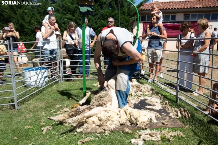 Mercado de Almarza 2023