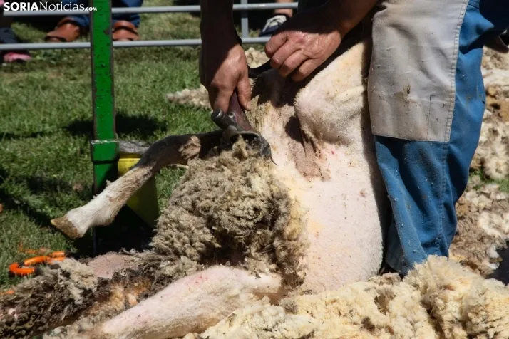 Mercado de Almarza 2023