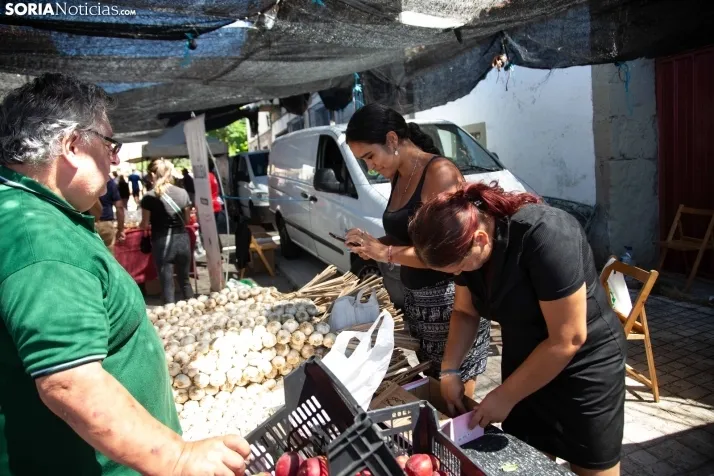 Mercado de Almarza 2023