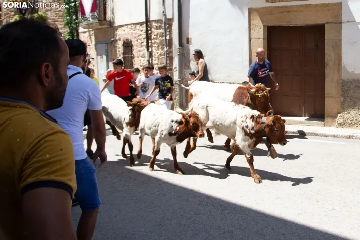 Mercado de Almarza 2023