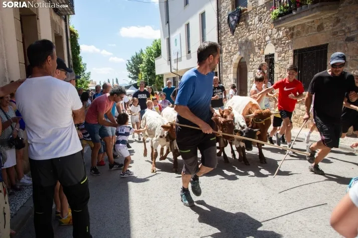 Mercado de Almarza 2023