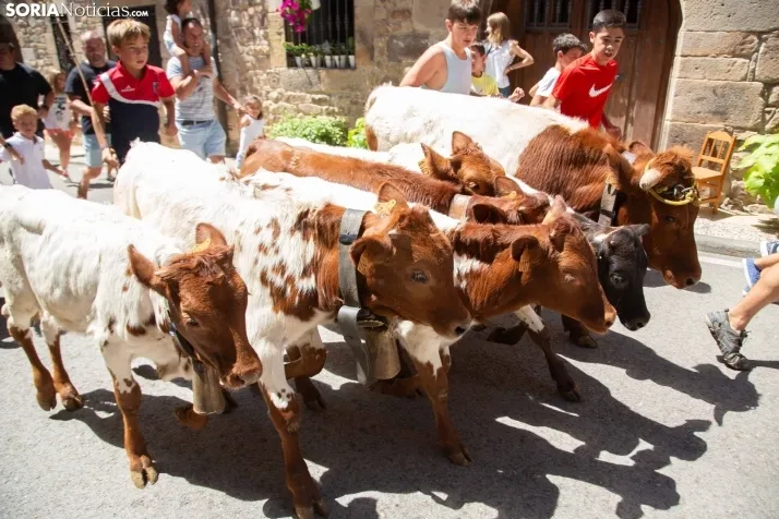 Mercado de Almarza 2023
