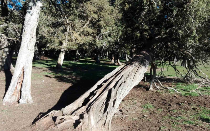 Aprobados 158.000 &euro; para mejorar la señalización en los Espacios Naturales de Soria