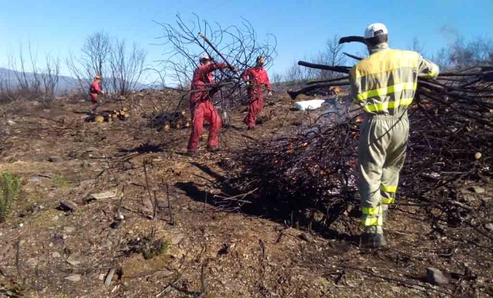 Castilla y León contrata cuatro cuadrillas en Soria, para prevención de incendios forestales, por más de 1M&euro;