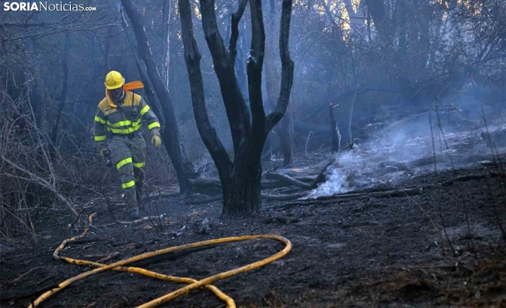 Declarada, lunes y martes, alerta de riesgo de incendios forestales en Castilla y León