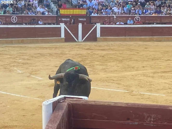 FOTOS Y CR&Oacute;NICA | As&iacute; ha transcurrido la corrida de toros del S&aacute;bado Ag&eacute;s