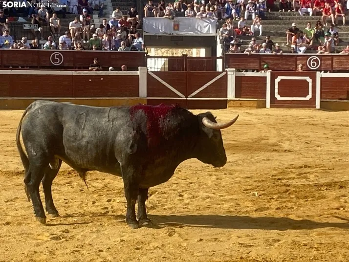 FOTOS Y CR&Oacute;NICA | As&iacute; ha transcurrido la corrida de toros del S&aacute;bado Ag&eacute;s