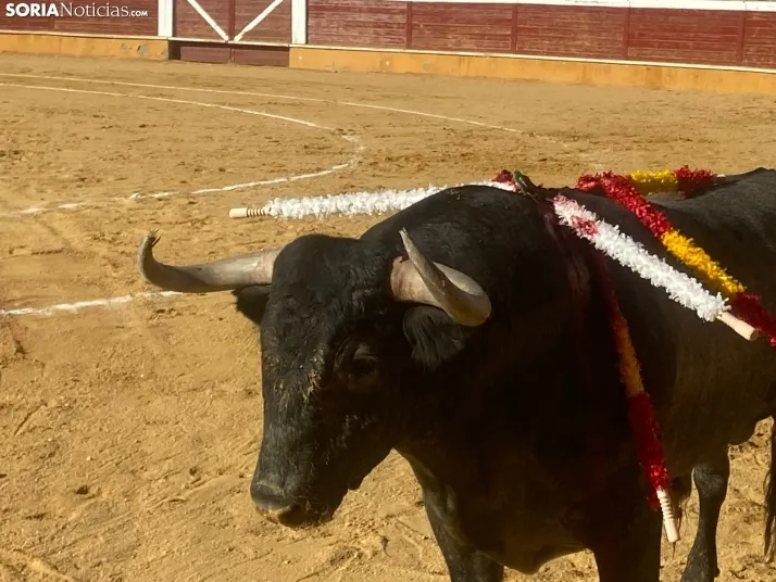 FOTOS Y CR&Oacute;NICA | As&iacute; ha transcurrido la corrida de toros del S&aacute;bado Ag&eacute;s