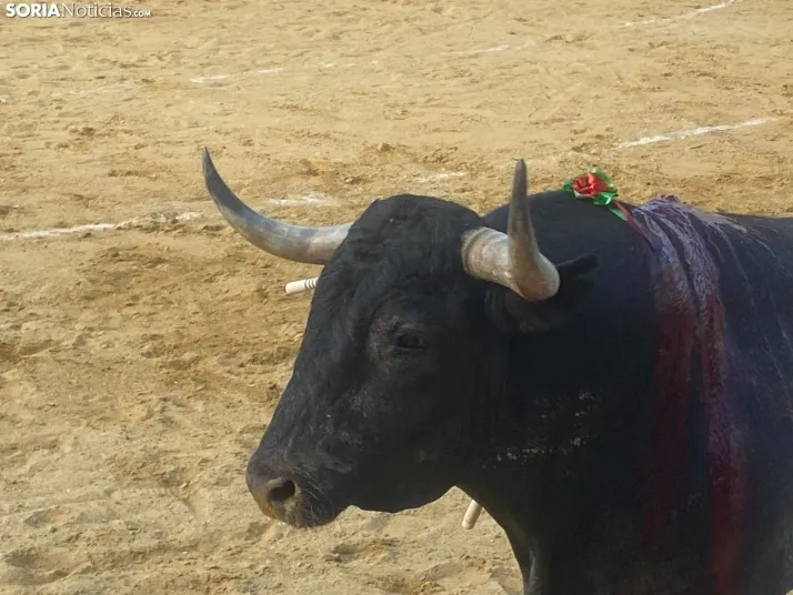 FOTOS Y CR&Oacute;NICA | As&iacute; ha transcurrido la corrida de toros del S&aacute;bado Ag&eacute;s