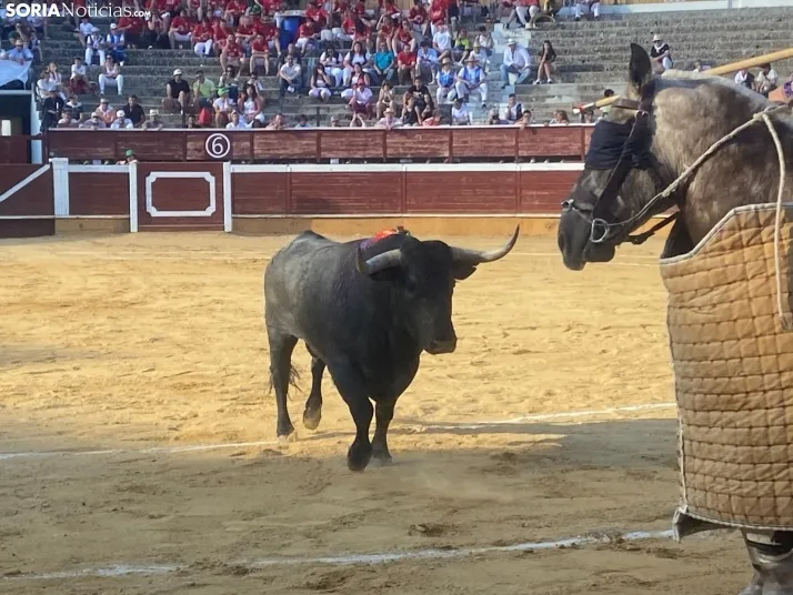 FOTOS Y CR&Oacute;NICA | As&iacute; ha transcurrido la corrida de toros del S&aacute;bado Ag&eacute;s