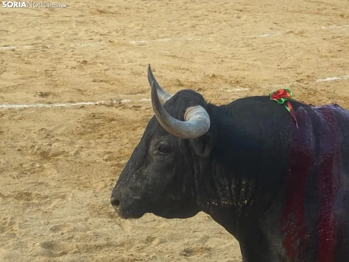 FOTOS Y CR&Oacute;NICA | As&iacute; ha transcurrido la corrida de toros del S&aacute;bado Ag&eacute;s