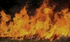 Foto 1 - Riesgo extremo de incendios forestales en tres comarcas de Soria