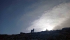 Una yegua en la cumbre cercana al nacimiento del Duero estos días. /Agustín Sandoval