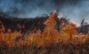 Foto 1 - Riesgo extremo de incendios forestales en toda la provincia de Soria