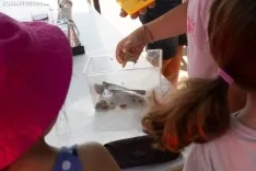 CRÓNICA Y FOTOS de la carrera más lenta de Castilla y León 