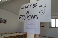 Una imagen del referéndum hoy. /SN