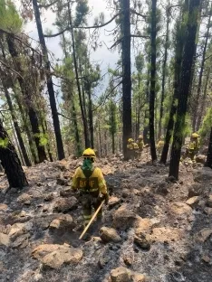 Foto 4 - La lucha contra el fuego en Tenerife: la BRIF de Lubia regresa a casa tras siete d&iacute;as de retos e incesable trabajo