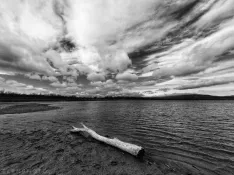 Foto 6 - Elena Garc&iacute;a y su terapia fotogr&aacute;fica culminan en una exposici&oacute;n que entregar&aacute; los beneficios a Herreros