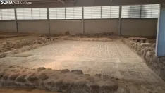 Foto 3 - Junta y Diputaci&oacute;n colaborar&aacute;n para realizar nuevas intervenciones en la Villa romana de La Dehesa