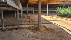 Foto 6 - Junta y Diputación colaborarán para realizar nuevas intervenciones en la Villa romana de La Dehesa