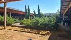 Foto 4 - Junta y Diputaci&oacute;n colaborar&aacute;n para realizar nuevas intervenciones en la Villa romana de La Dehesa