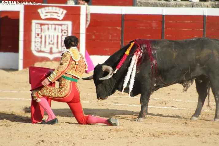Tercera de feria en El Burgo de Osma. Santo Gómez