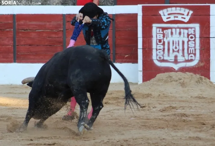 Tercera de feria en El Burgo de Osma. Santo Gómez