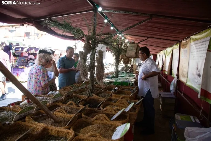 Mercado Medieval de Berlanga 2023