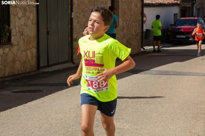 Cross de Abejar 2023