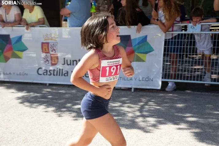 Cross de Abejar 2023