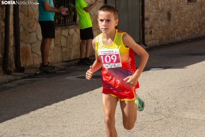 Cross de Abejar 2023