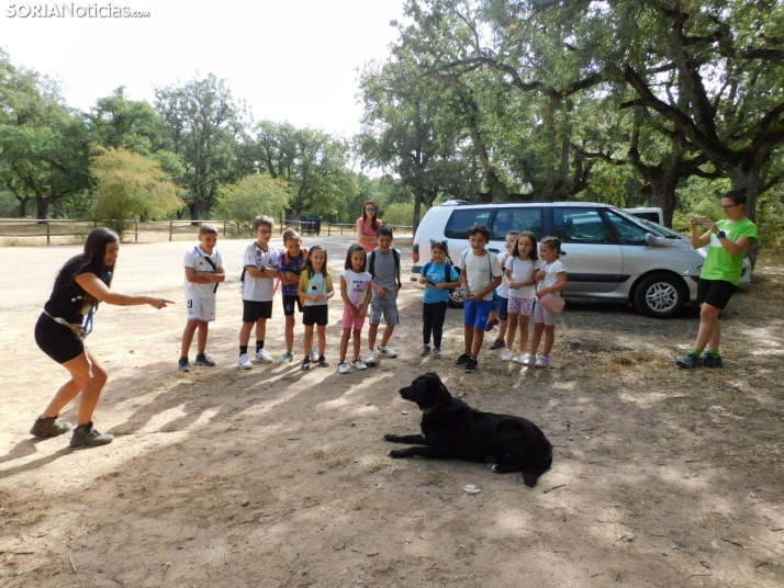 En fotos | Trucos, risas y diversi&oacute;n en la peque-ruta canina junto a la perrita Maya