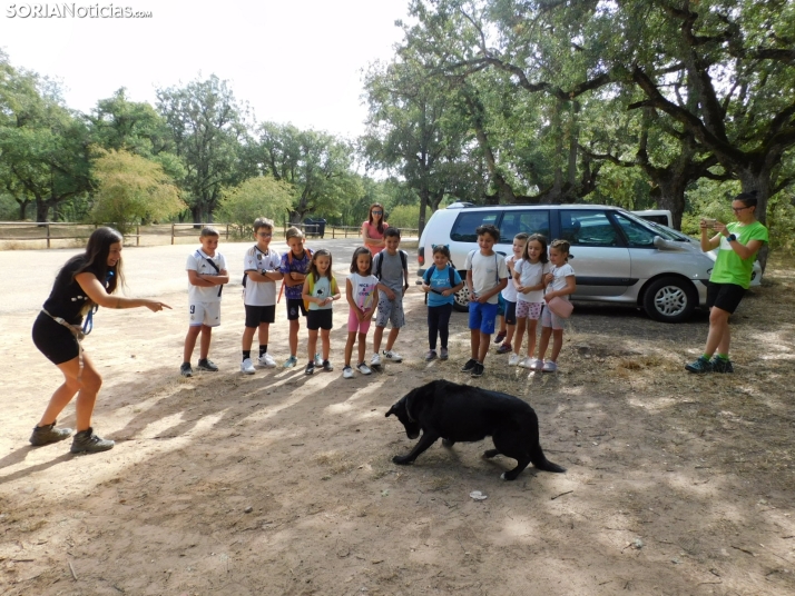 En fotos | Trucos, risas y diversi&oacute;n en la peque-ruta canina junto a la perrita Maya