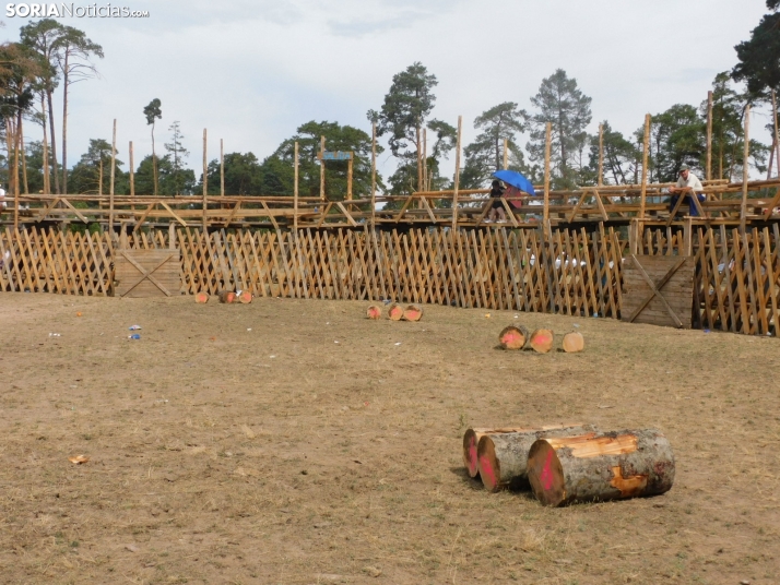 FOTO A FOTO | Emocionante concurso de corte de troncos en Vinuesa