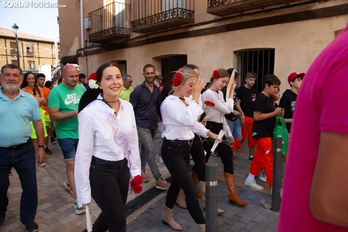Novillada sin picadores - Berlanga de Duero 2023