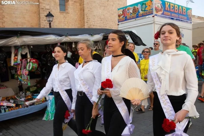 Novillada sin picadores - Berlanga de Duero 2023