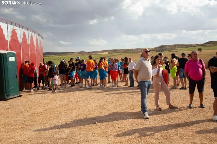 Novillada sin picadores - Berlanga de Duero 2023