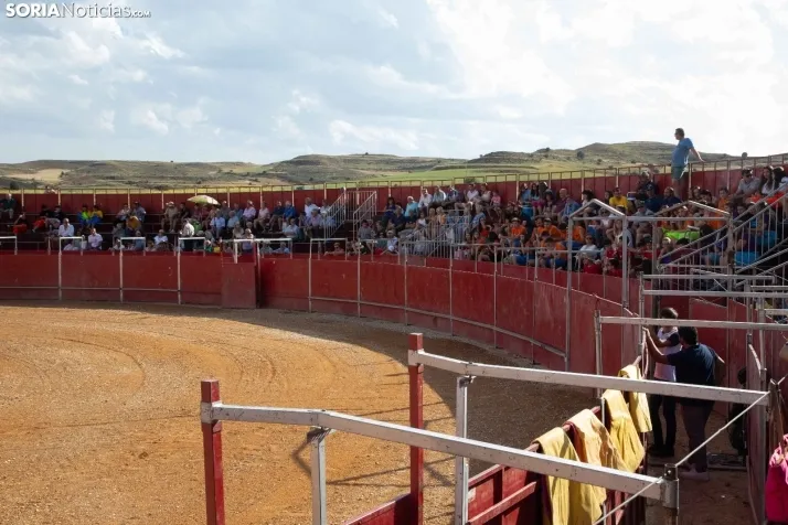 Novillada sin picadores - Berlanga de Duero 2023