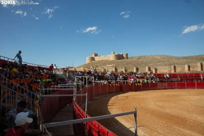 Novillada sin picadores - Berlanga de Duero 2023