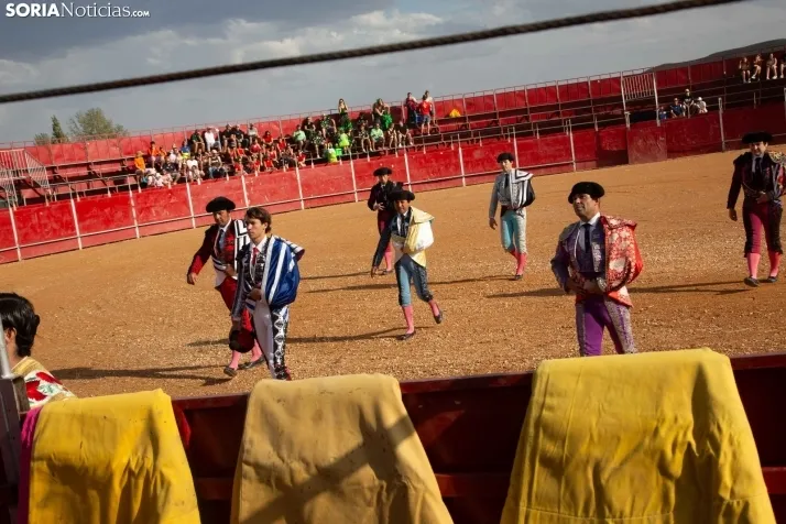 Novillada sin picadores - Berlanga de Duero 2023