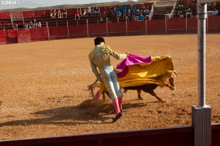 Novillada sin picadores - Berlanga de Duero 2023