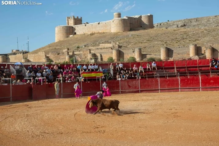 Novillada sin picadores - Berlanga de Duero 2023