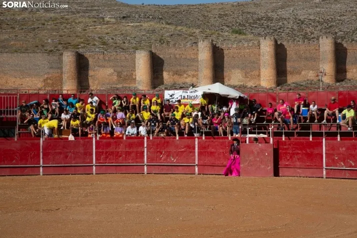 Novillada sin picadores - Berlanga de Duero 2023