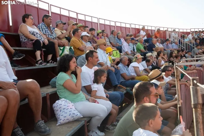Novillada sin picadores - Berlanga de Duero 2023