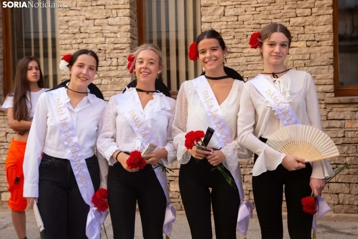 Novillada sin picadores - Berlanga de Duero 2023