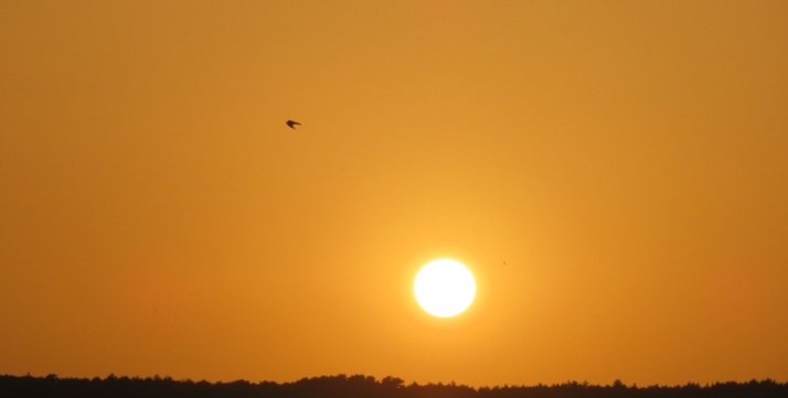 El calor en Soria bate todos los registros con una temperatura nunca antes vista