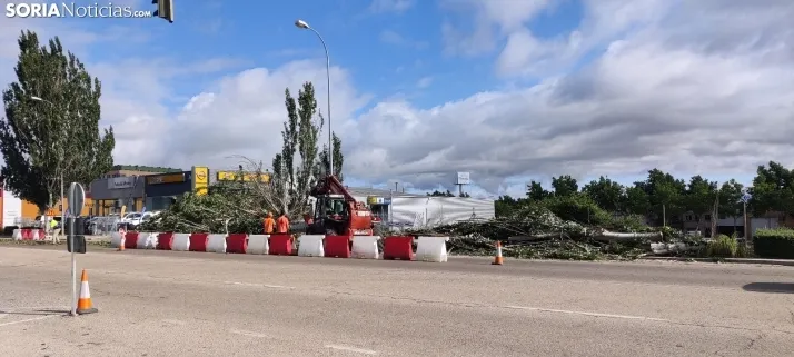 En im&aacute;genes, las obras de las traves&iacute;as comienzan con la tala de &aacute;rboles