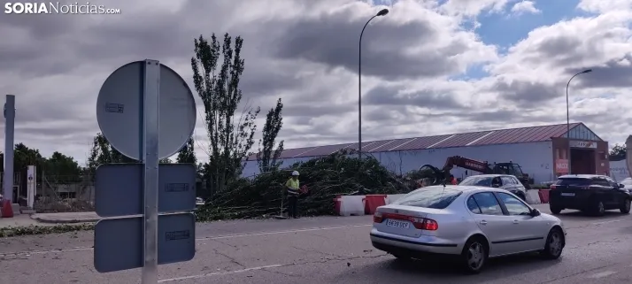 En im&aacute;genes, las obras de las traves&iacute;as comienzan con la tala de &aacute;rboles
